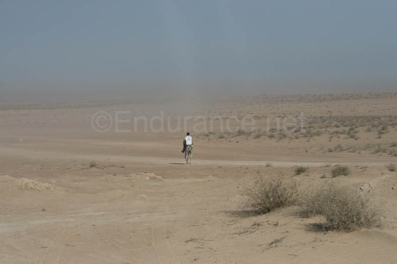 0902UAE_119