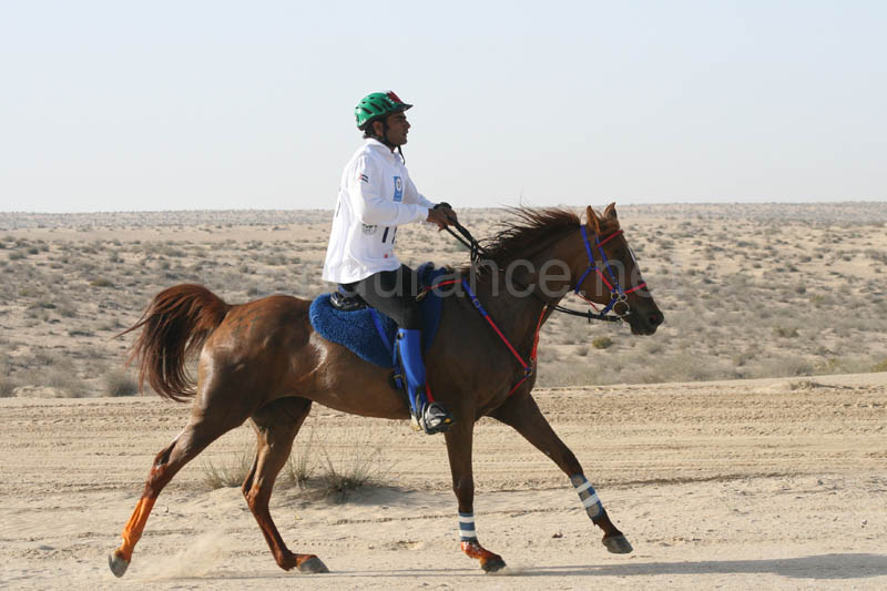 0902UAE_125