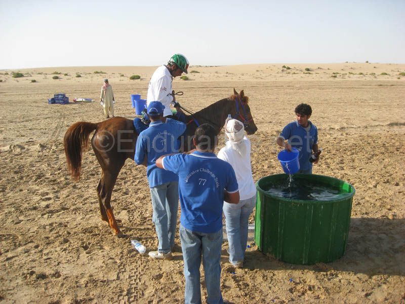 0902UAE_125A