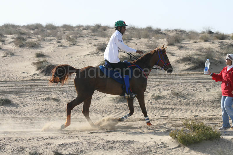 0902UAE_126