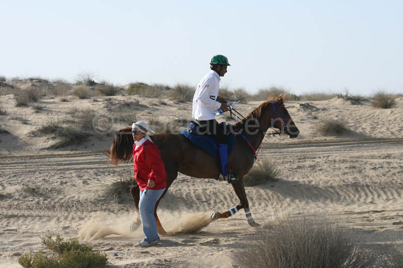 0902UAE_129