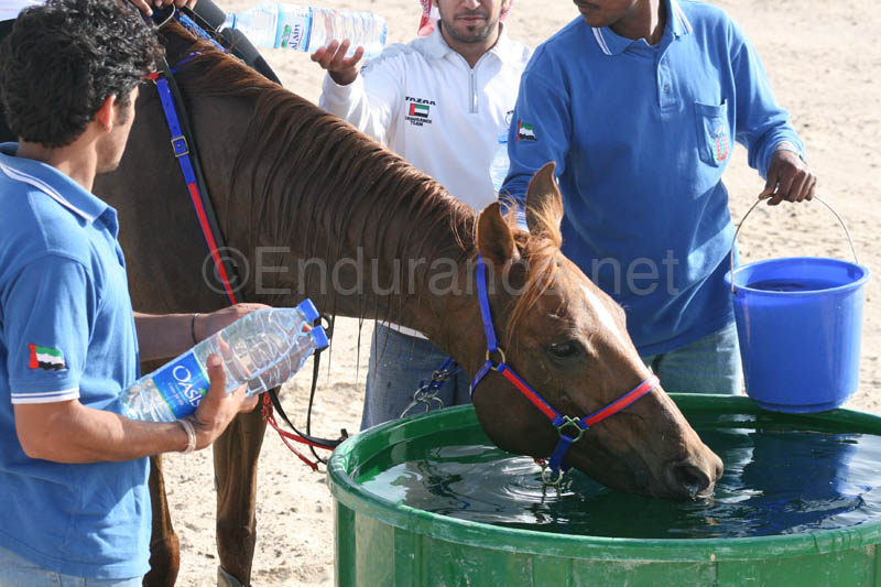0902UAE_131
