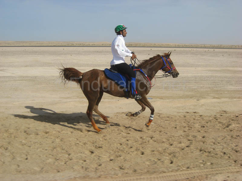 0902UAE_131B