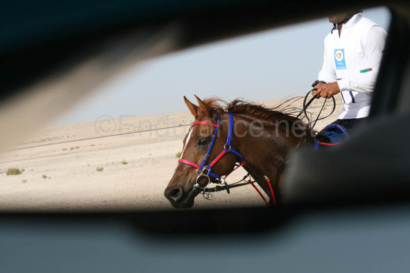 0902UAE_133