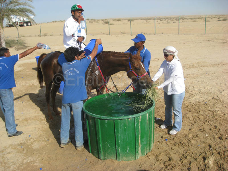 0902UAE_133B