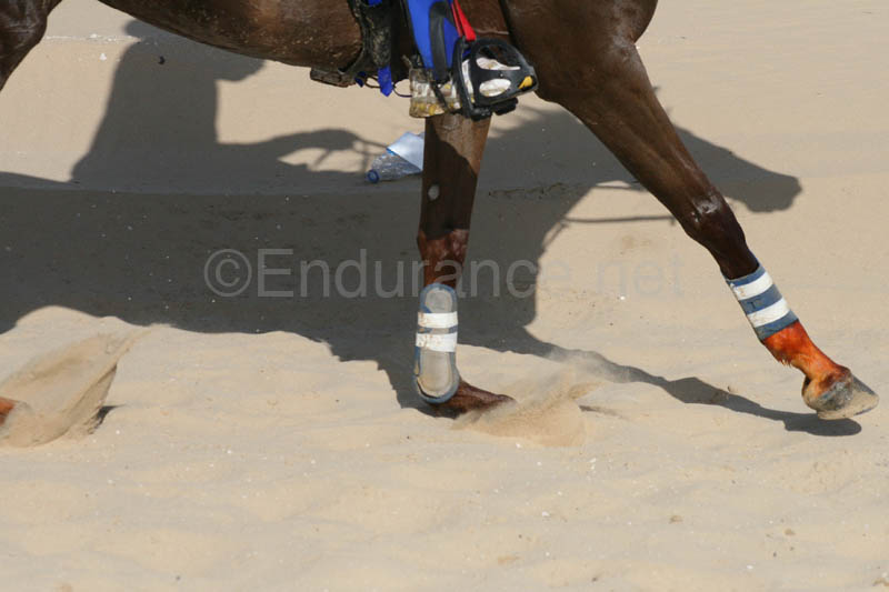 0902UAE_134