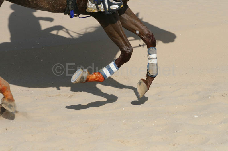 0902UAE_135