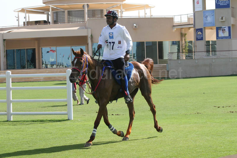 0902UAE_137