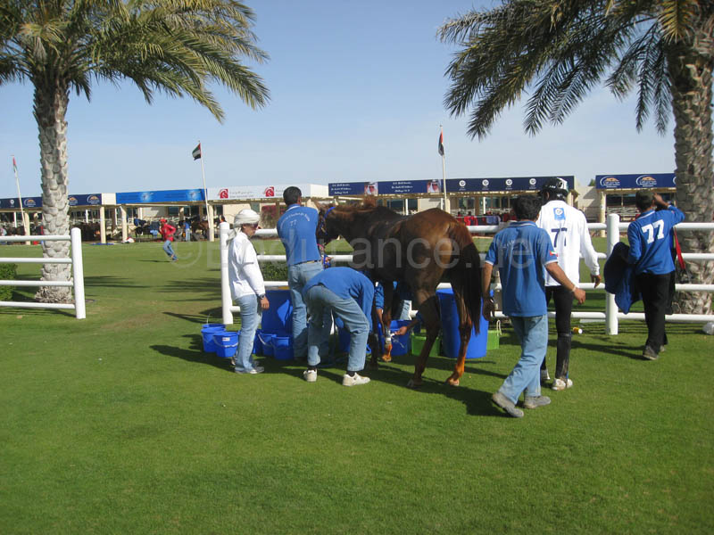 0902UAE_138A