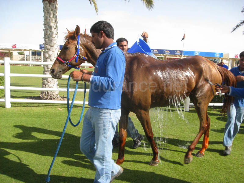 0902UAE_138B