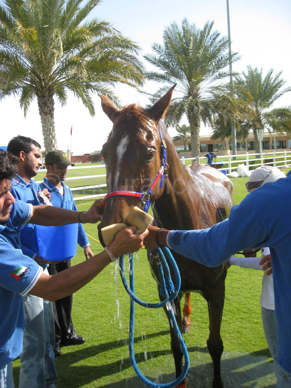 0902UAE_138C