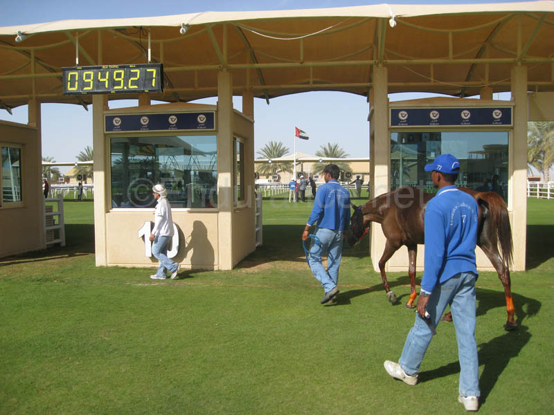 0902UAE_138D