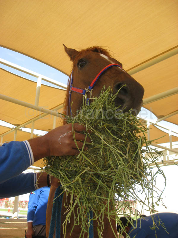 0902UAE_139A