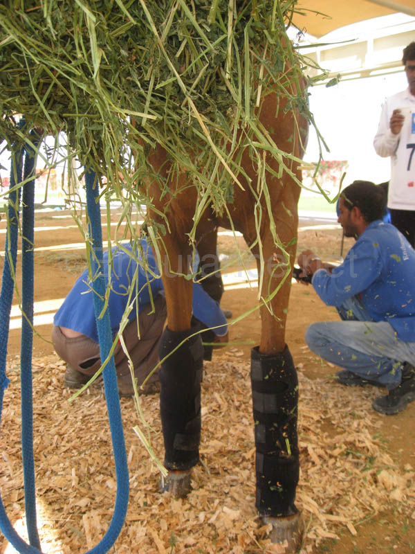 0902UAE_139B