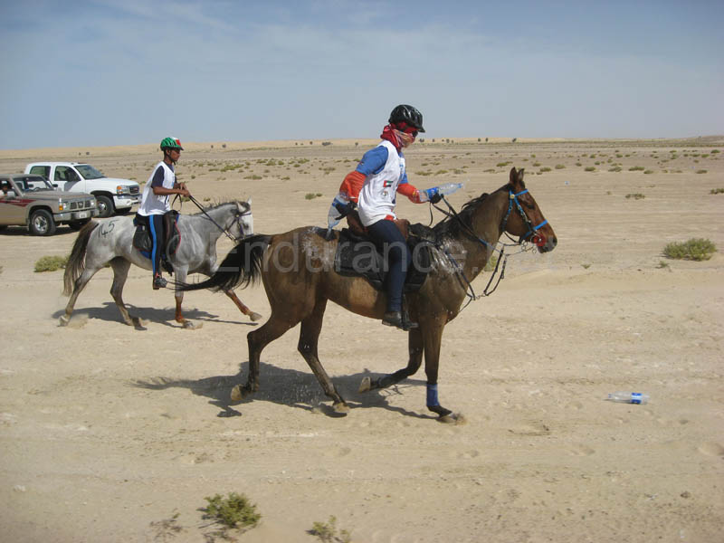0902UAE_140A