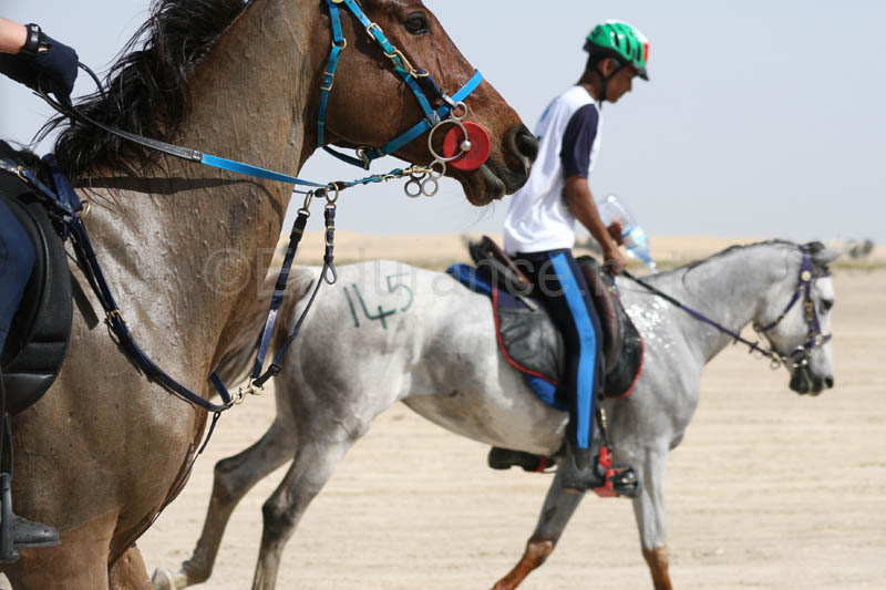 0902UAE_142