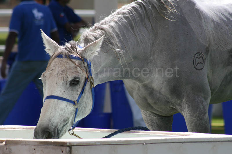 0902UAE_143