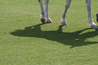 0902UAE_065