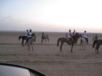 0902UAE_080