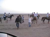 international/UAE/2009MerriTravels/gallery/MHMCup/thumbnails/0902UAE_081.jpg