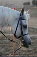 0902UAE_088