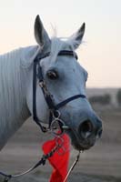 0902UAE_089