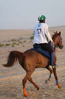 0902UAE_090