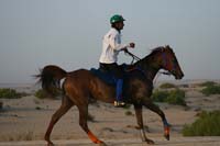 0902UAE_091