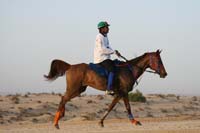 0902UAE_092