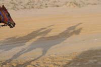 0902UAE_093