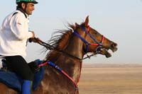 0902UAE_094