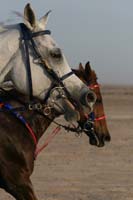 0902UAE_095