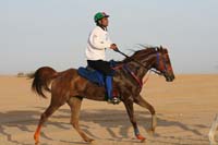 international/UAE/2009MerriTravels/gallery/MHMCup/thumbnails/0902UAE_097.jpg