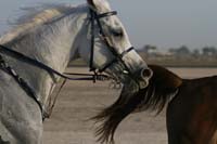 0902UAE_098