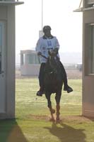 0902UAE_099