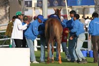 0902UAE_101