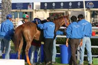 0902UAE_102
