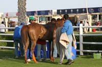0902UAE_103