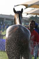 0902UAE_105