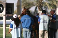 0902UAE_106