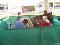0902UAE_108
