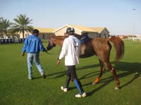 0902UAE_110