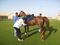 0902UAE_111