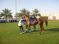 0902UAE_112
