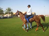 0902UAE_113