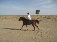 0902UAE_114