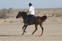 0902UAE_116
