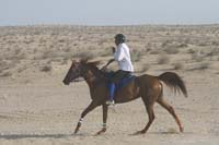 0902UAE_117