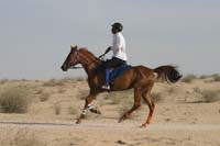 0902UAE_118