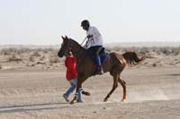 0902UAE_122